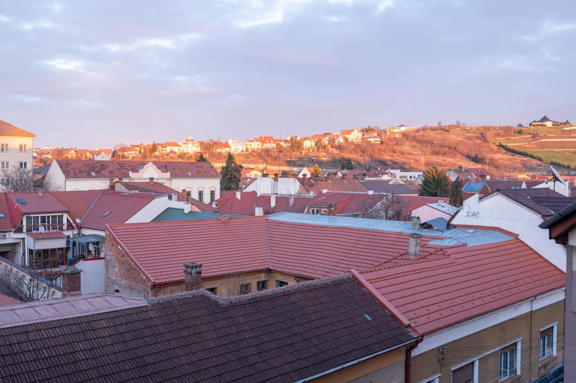 Tei Apartments Oradea Oda fotoğraf
